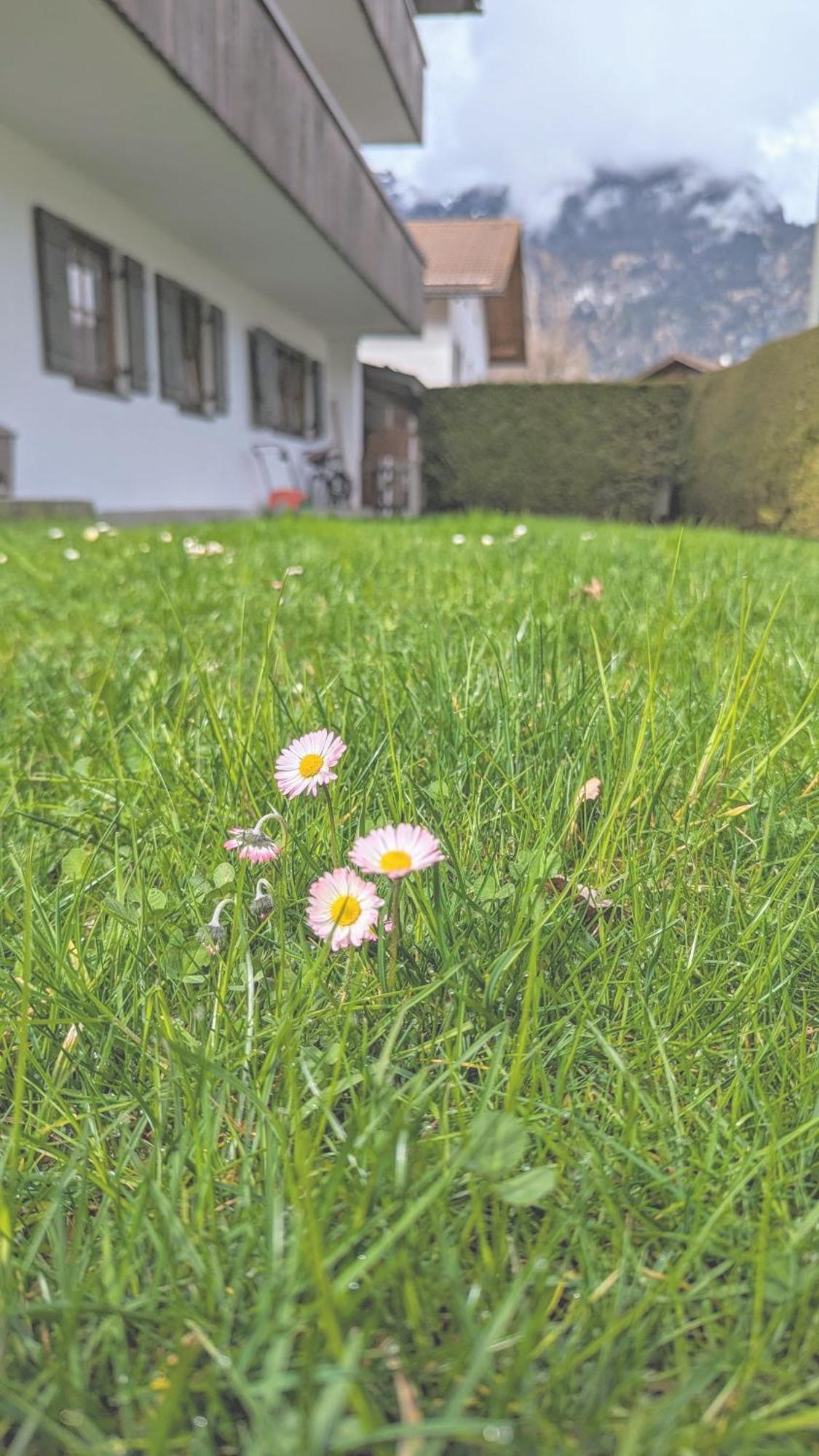 Apartmán Calm Gap Garmisch-Partenkirchen Exteriér fotografie
